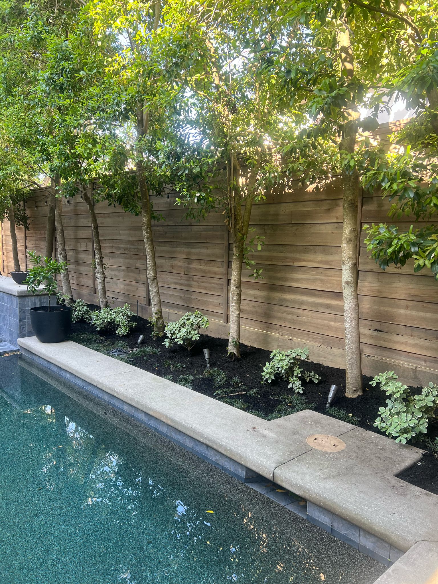 Expert Privacy Fence Installation Services in 77011